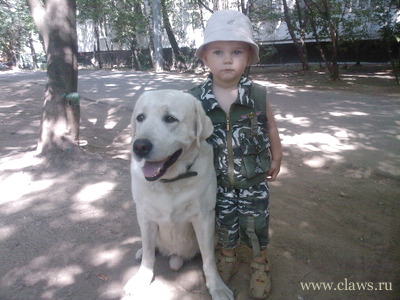 Фото не найдено
