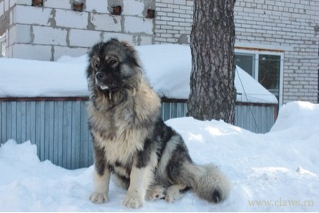 Фото не найдено
