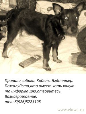 Фото не найдено