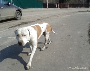 Фото не найдено
