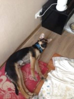 Фото не найдено