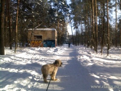 Фото не найдено
