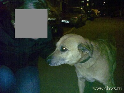 Фото не найдено