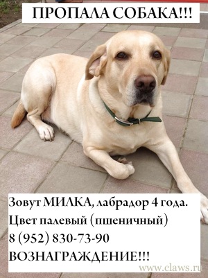 Фото не найдено