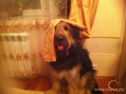 Фото не найдено