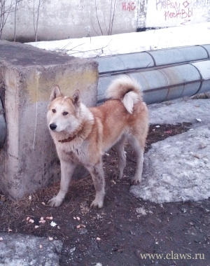 Фото не найдено