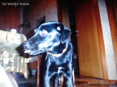 Фото не найдено