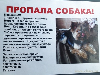 Фото не найдено