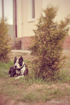 Фото не найдено