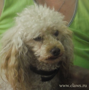 Фото не найдено