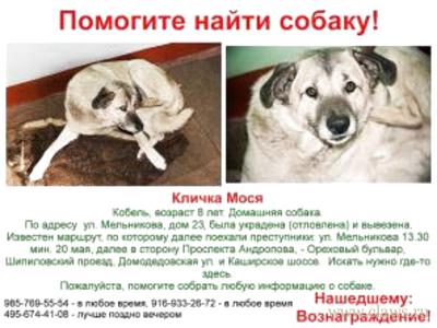 Фото не найдено