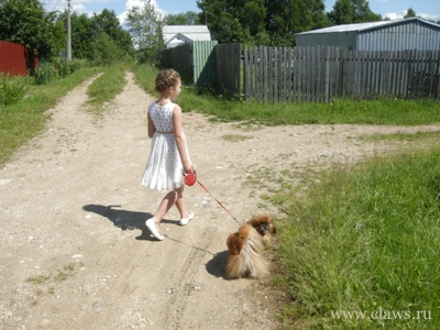Фото не найдено