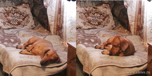 Фото не найдено