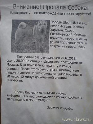 Фото не найдено