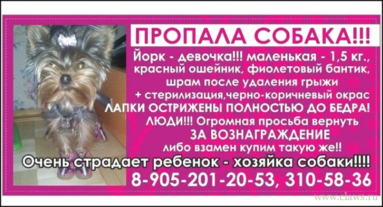 Фото не найдено