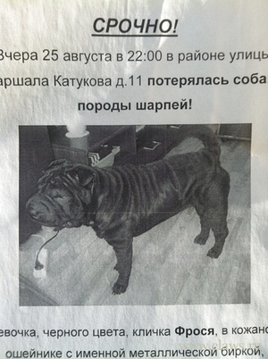 Фото не найдено