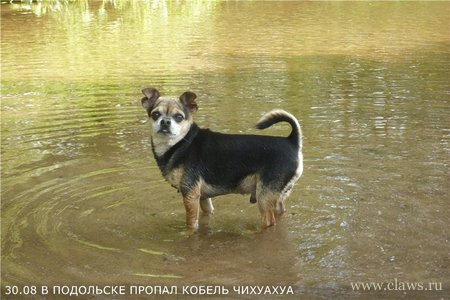 Фото не найдено