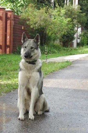 Фото не найдено