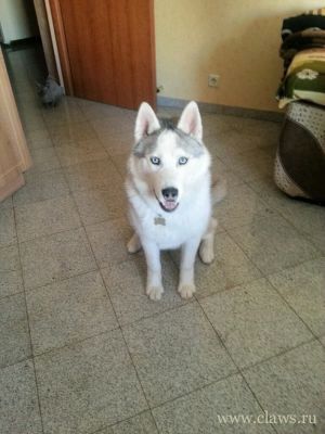 Фото не найдено