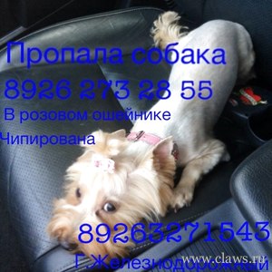 Фото не найдено