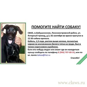Фото не найдено
