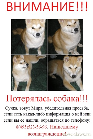 Фото не найдено