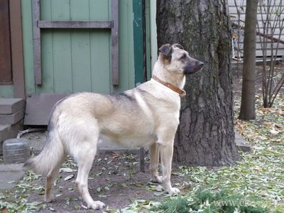 Фото не найдено