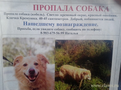 Фото не найдено