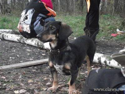 Фото не найдено