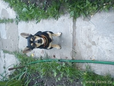 Фото не найдено