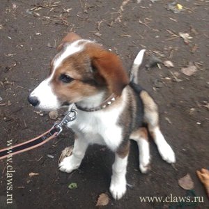Фото не найдено