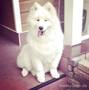 Фото не найдено