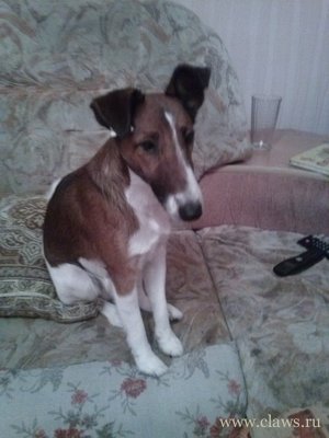 Фото не найдено