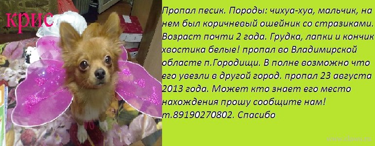 Фото не найдено