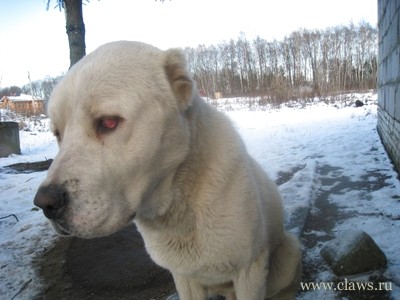 Фото не найдено