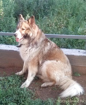 Фото не найдено