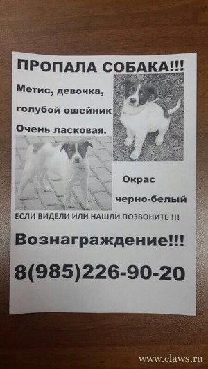Фото не найдено