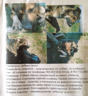 Фото не найдено