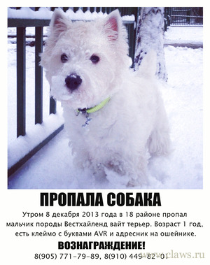 Фото не найдено