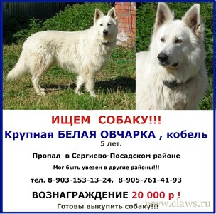 Фото не найдено