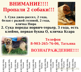 Фото не найдено