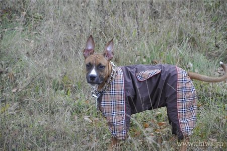 Фото не найдено