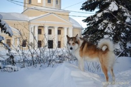 Фото не найдено