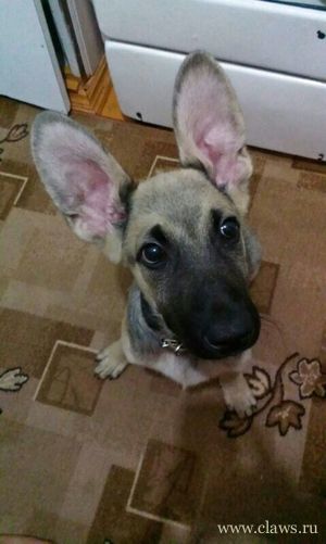 Фото не найдено