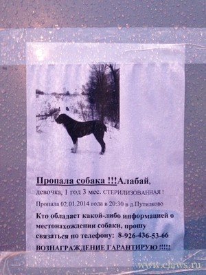 Фото не найдено