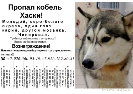 Фото не найдено
