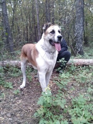 Фото не найдено
