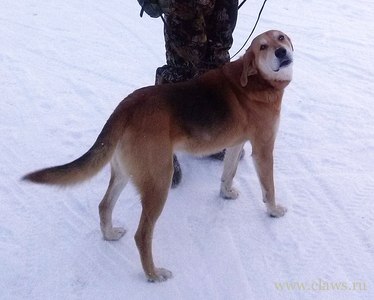 Фото не найдено