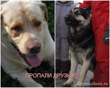 Фото не найдено