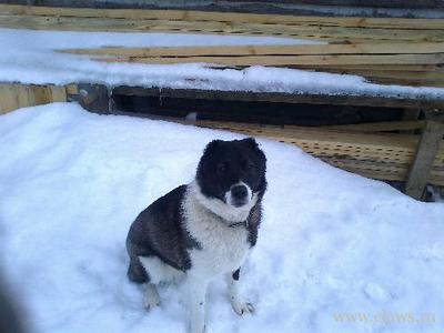 Фото не найдено